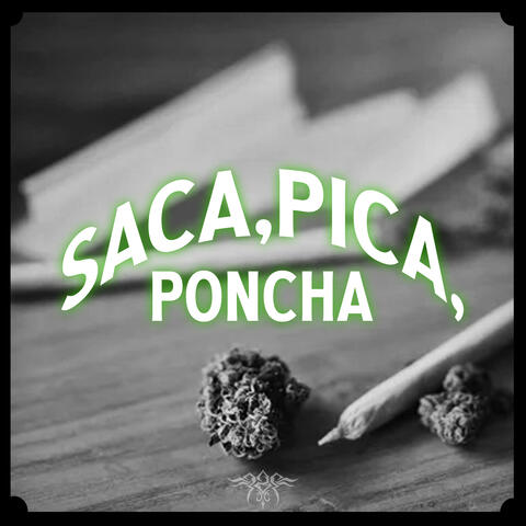 Saca, Pica, Poncha