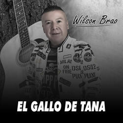 El Gallo de Tana