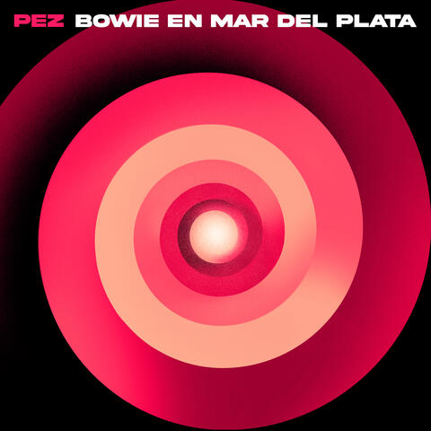 Bowie en Mar del Plata