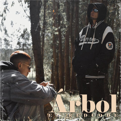 Árbol