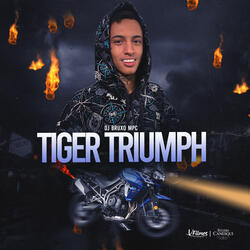 Tiger Triumph