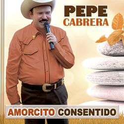 Amorcito Consentido