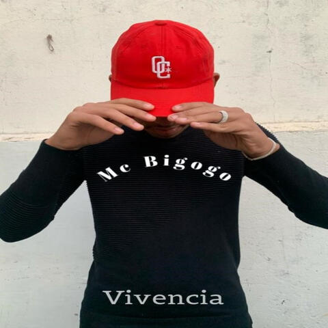 Vivencia