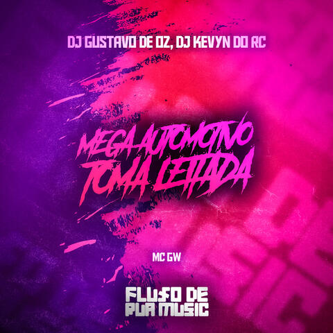 Mega Automotivo Toma Leitada