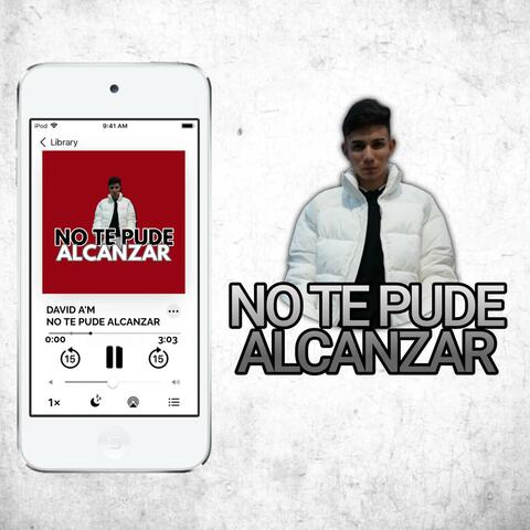 No Te Pude Alcanzar