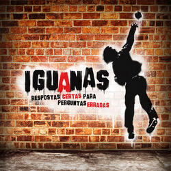 Obsessão Compulsão Excitação e Confusão