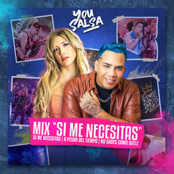 Mix Si Me Necesitas: Si Me Necesitas, A Pesar del Tiempo, No Sabes Como Duele