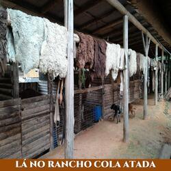 Lá no Rancho Cola Atada