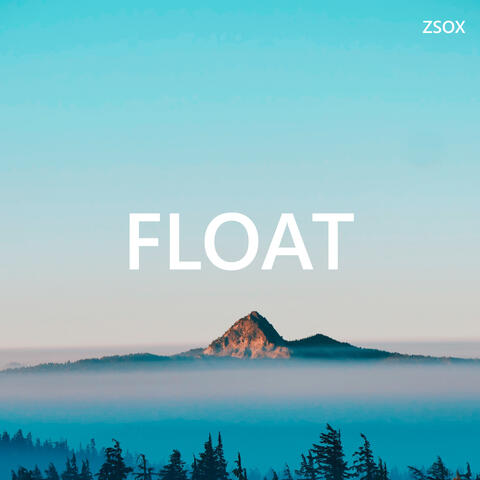 Float