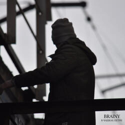 В чашках Петри