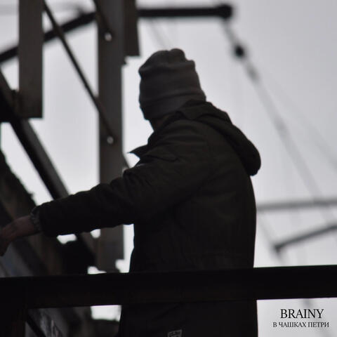 В чашках Петри