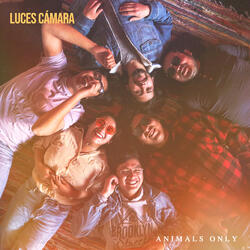 Luces, Cámara