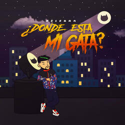 ¿Donde Esta Mi Gata?