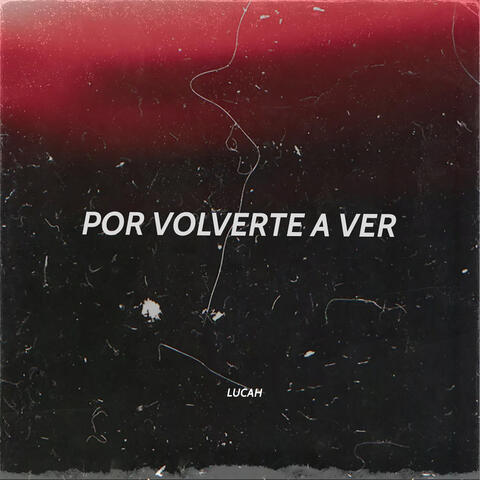 Por Volverte a Ver