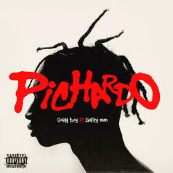 Pichardo