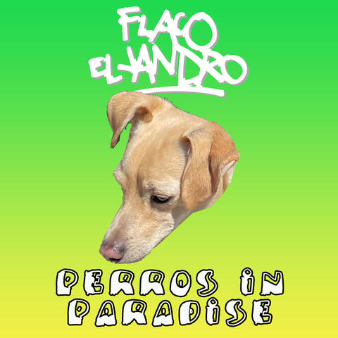 Perros In Paradise