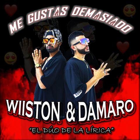 Me Gustas Demasiado