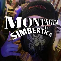 Montagem Simbertica 1.0