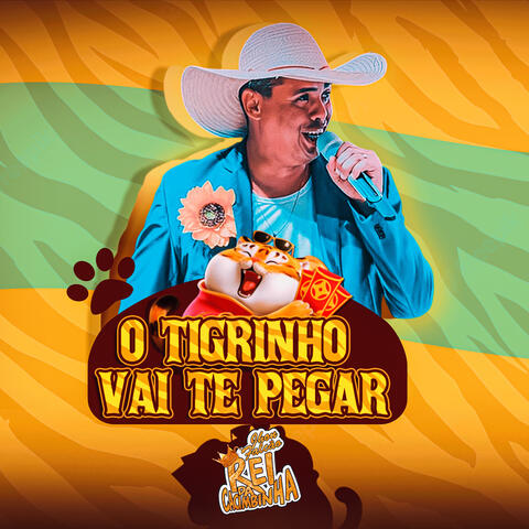 O Tigrinho Vai Te Pegar
