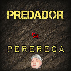 Predador de Perereca