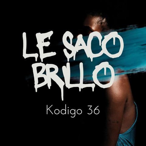 Le Saco Brillo