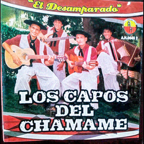 El Desamparado