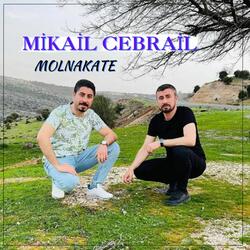 Molnakate