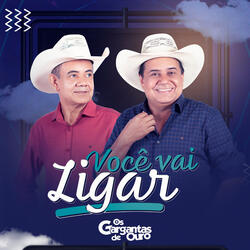 Você Vai Ligar