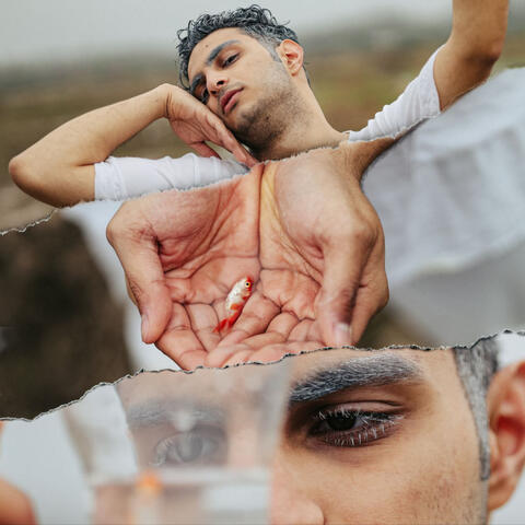 The White Body
