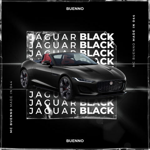 Jaguar Black