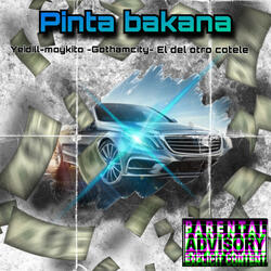 Pinta Bakana