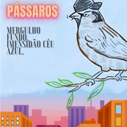 Passaros