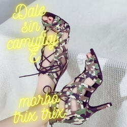 Dale Sin Camuflaje