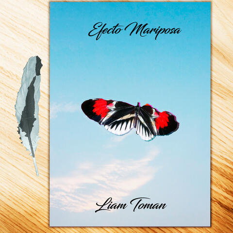 Efecto Mariposa