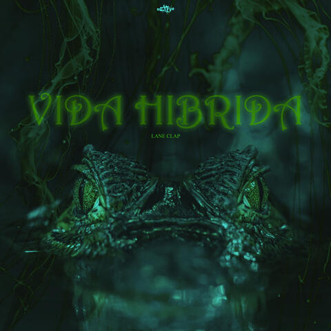 Vida Híbrida