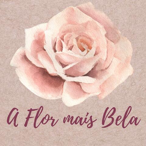 A Flor Mais Bela