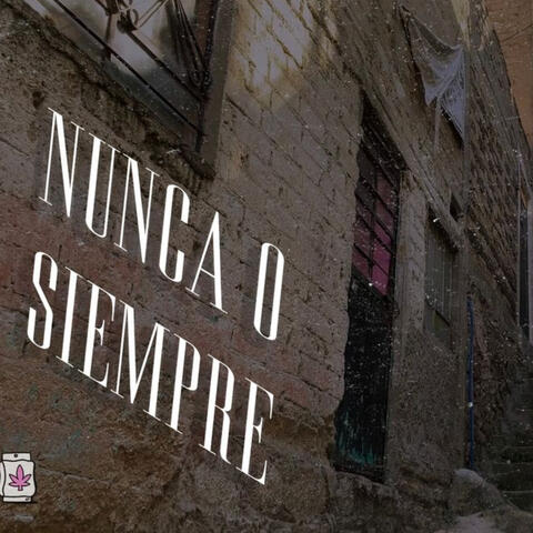 Nunca o Siempre