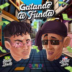 Gatando la Funda