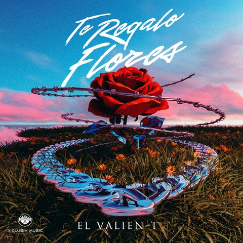 Te Regalo Flores