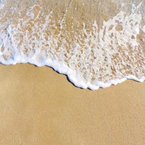 Rumba y Playa
