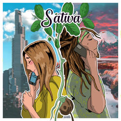 Sativa