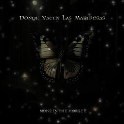 Donde Yacen las Mariposas