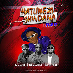 Hatuwezishindana Nao