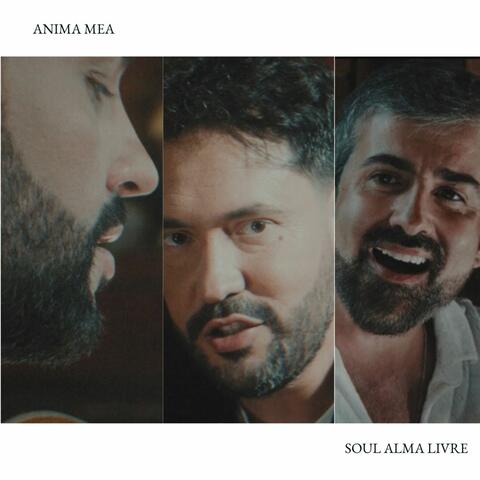 Soul Alma Livre