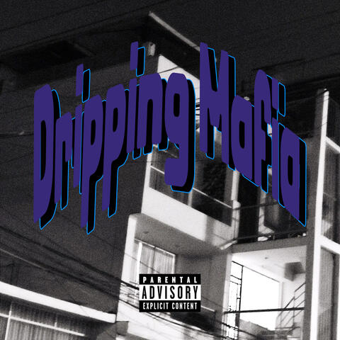 Dripping Mafia