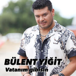 Vatanım Gibisin