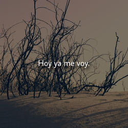 Hoy Ya Me Voy