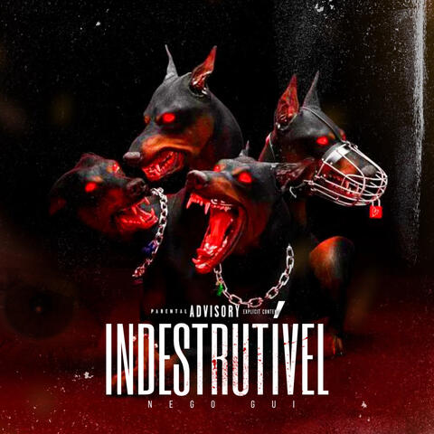 Indestrutível