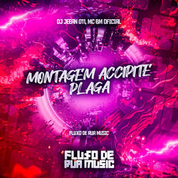 Montagem Accipite Plaga
