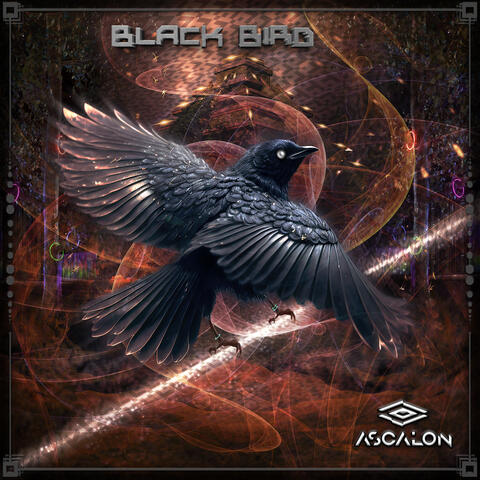 Black Bird